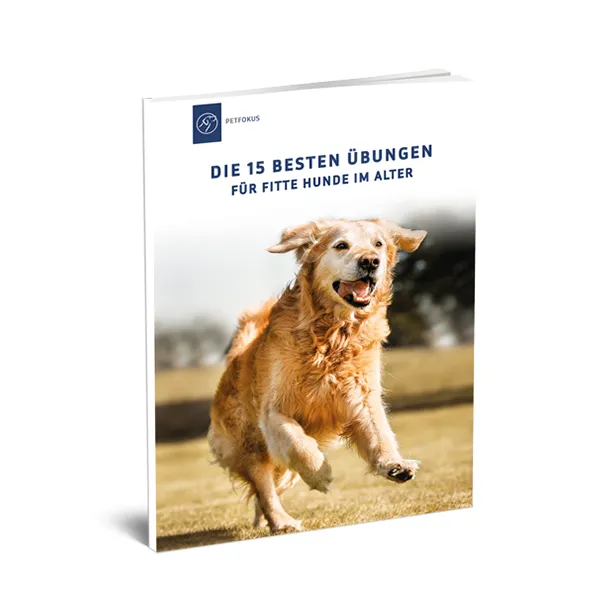 DIE 15 BESTEN ÜBUNGEN FÜR FITTE HUNDE IM ALTER (gedrucktes Buch)