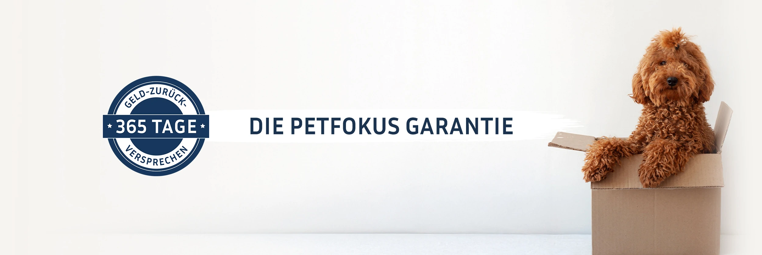About us banner desktop