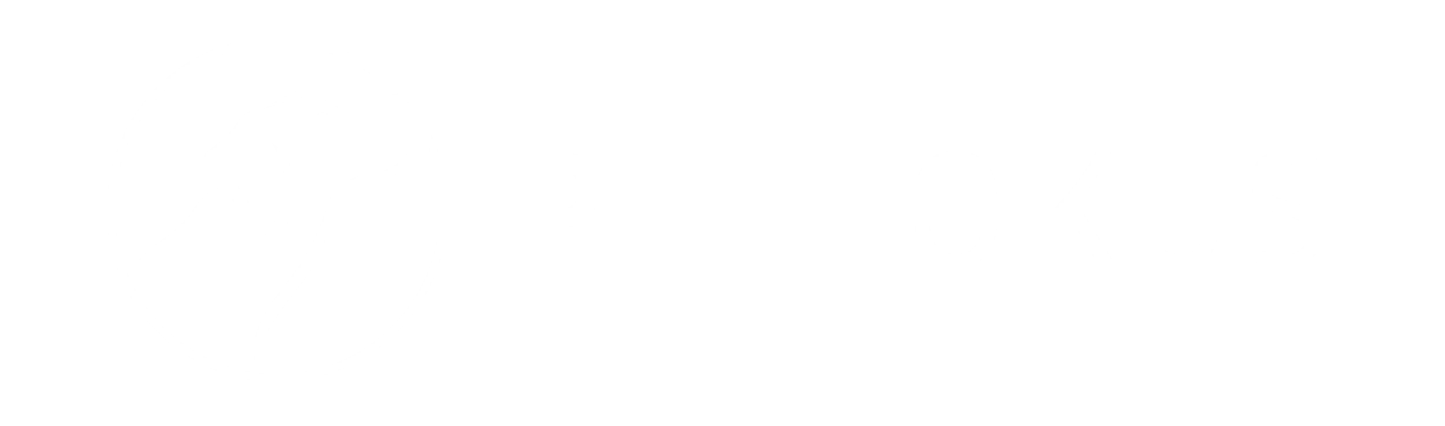Petfokus