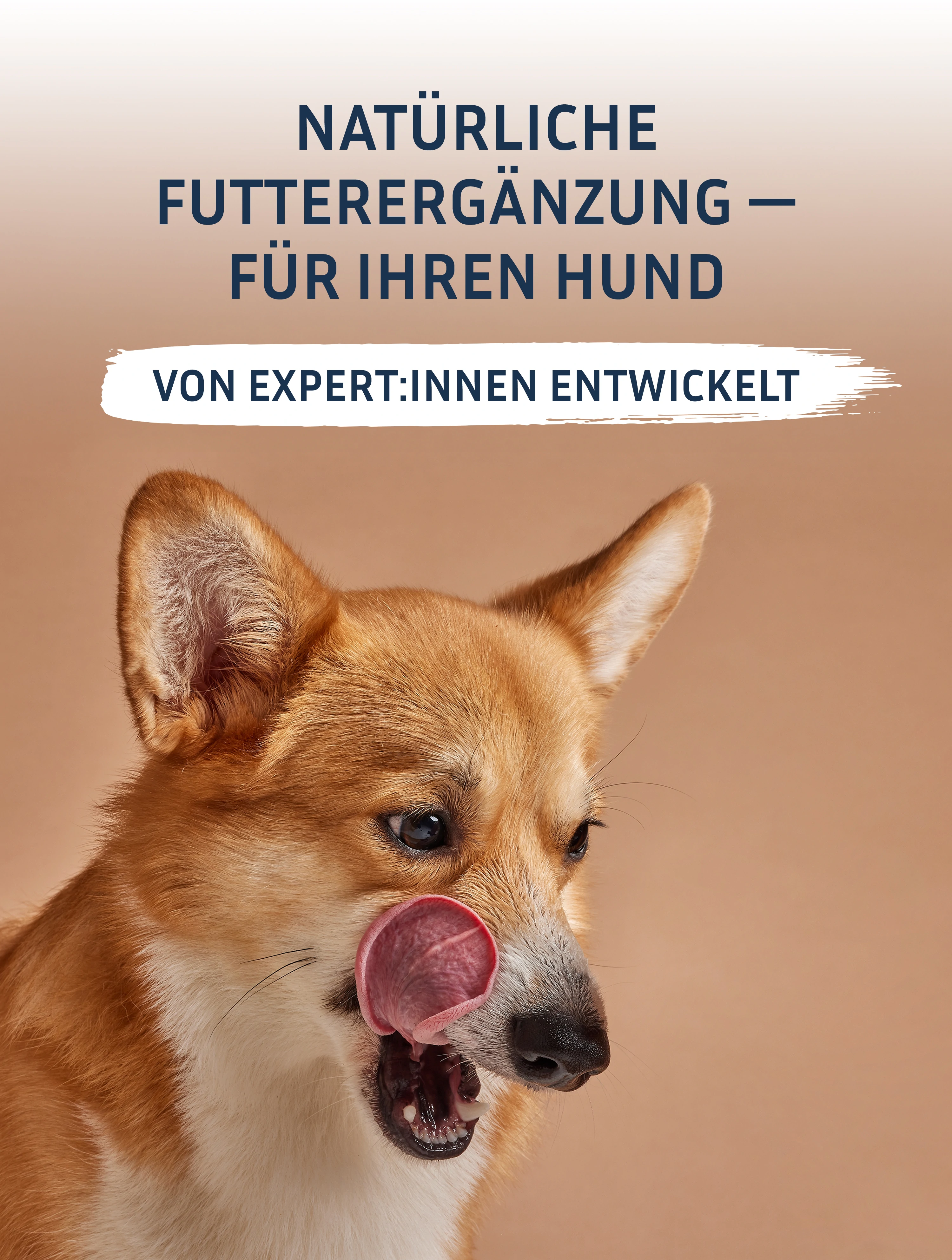 About us banner mobile