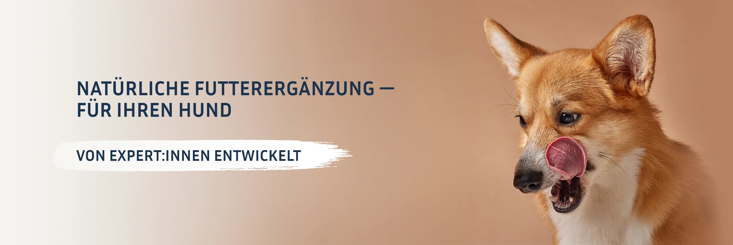 About us banner desktop