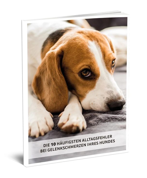 agilerhund