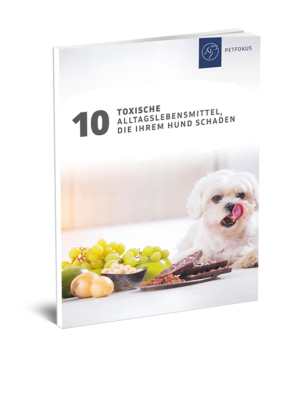 hundegesundheitstaerken