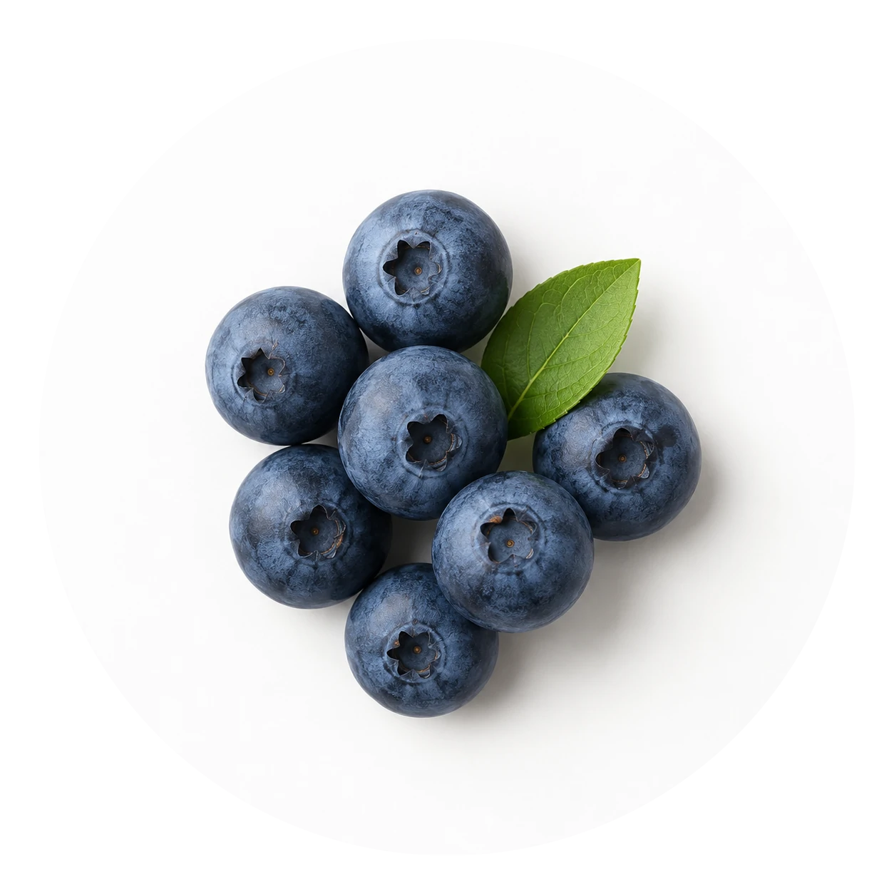 blaubeere