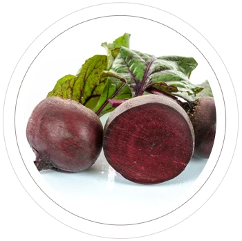 Rote Bete-Pulver